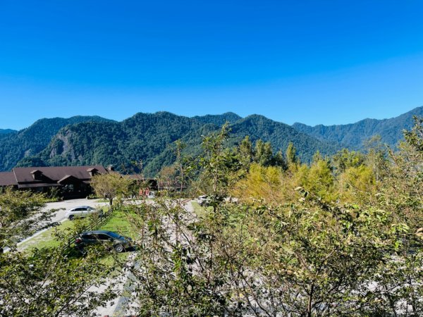 1140825司馬庫斯新巨木園區-司立富瀑布-部落觀景台2871154