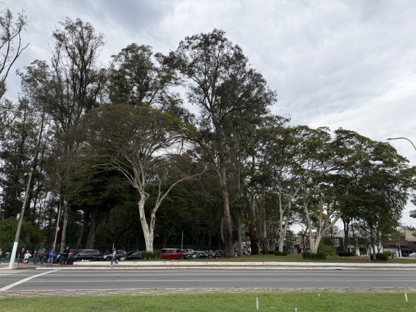 [紐約馬之行-70] 2025_1116 先鋒旗手紀念碑2956900