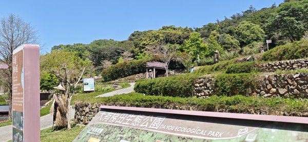 2026-0315 桃園虎頭山3015949