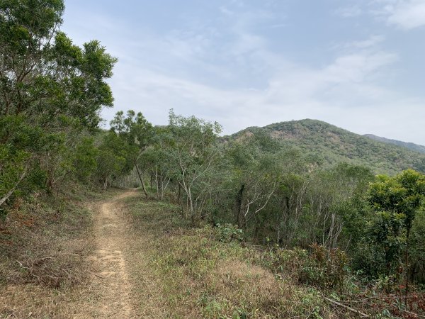 20250404屏東北獅子頭山-霧里乙山2757427