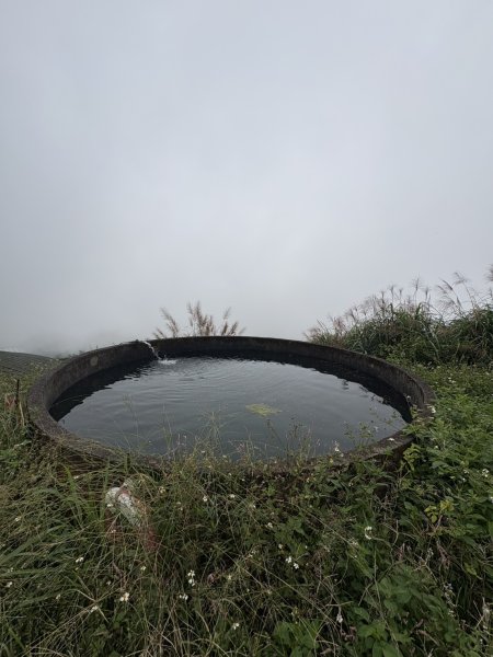 20251024雲嘉五連峰+碧湖山2924227