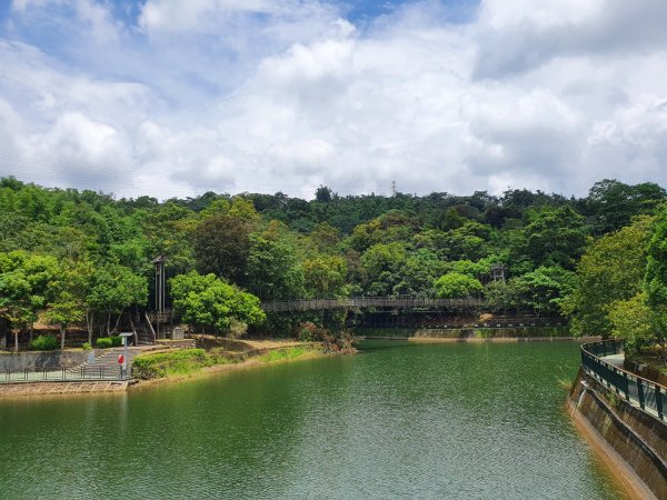 頭社水庫封面