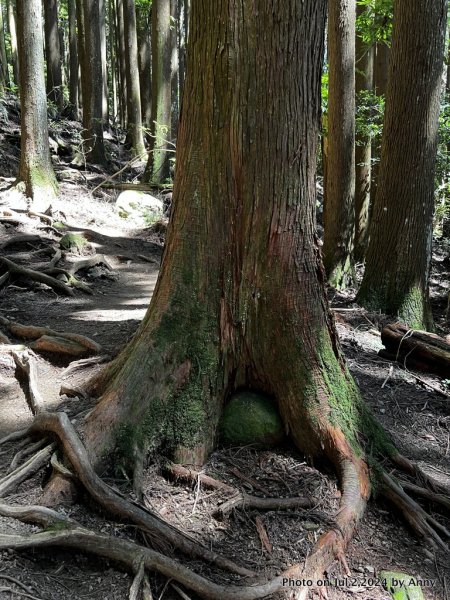 加里山好精彩2547361