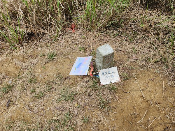 20260301濫坑山與鹿廚坑山3027261