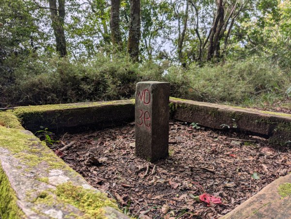 二訪阿里山國家森林遊樂區之大塔山對高岳之旅2991654