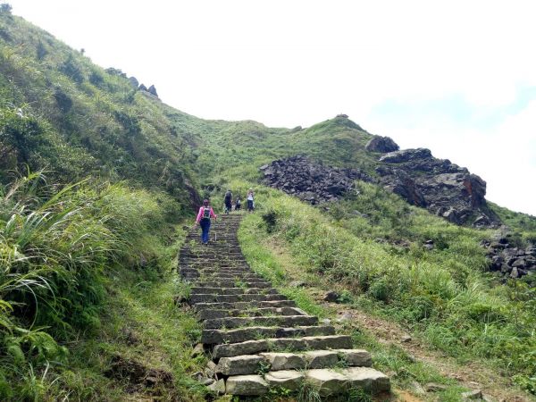 茶壺山，半屏山小0健行405482