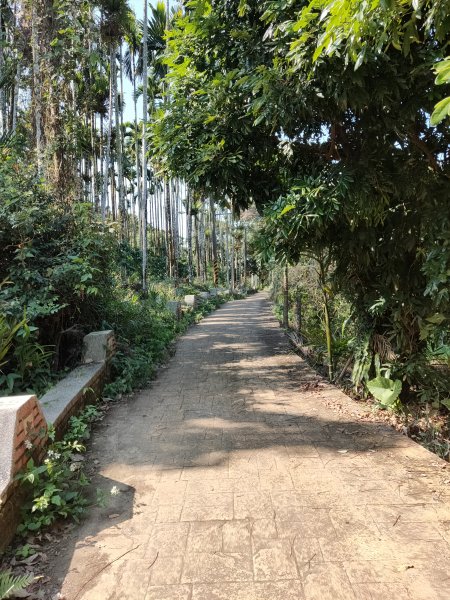 華山步道群1253502