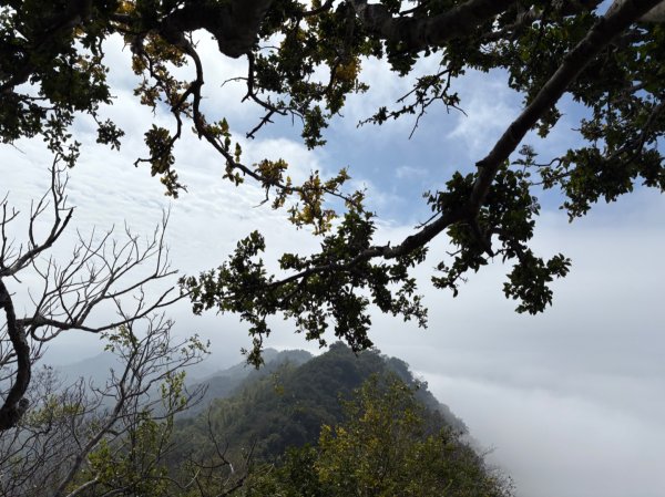 龍麟山步道（王爺崙2703662