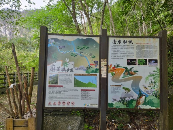 麻荖漏步道、彩虹瀑布2697926