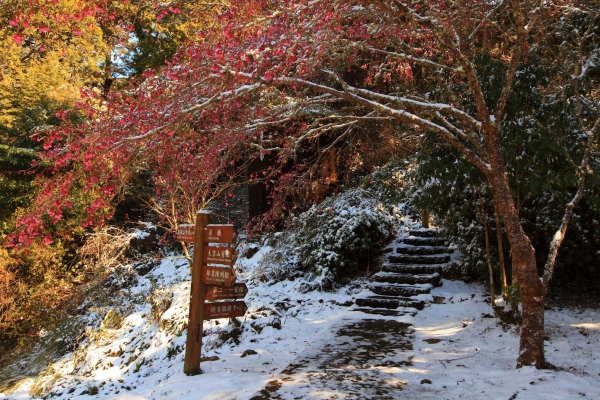 大雪山冬雪30236