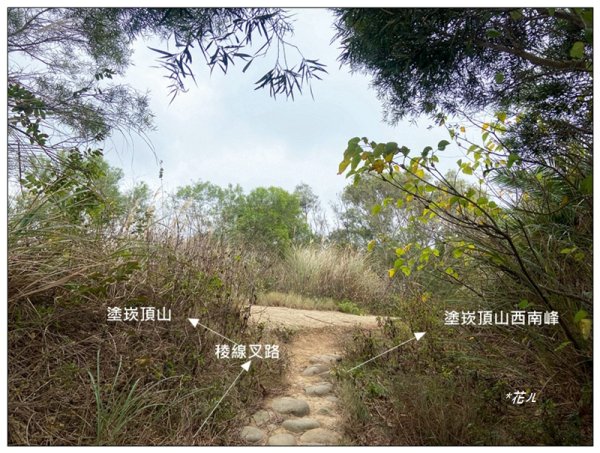 塗崁頂山、西南峰、心形公路、嶺頂步道 連走2971789