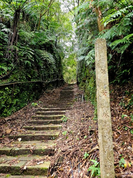 (五分山系)菁桐煤礦-2025微笑山線大縱走尋寶集章任務2855317