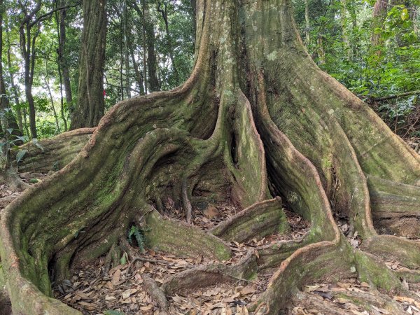 貴妃山那結山外鳥嘴山2630855