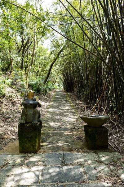 大崙頭尾山｜小百岳2756503