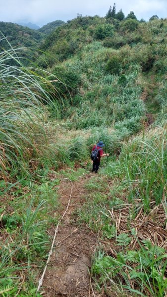 基隆聖稜線-陡不停的五四大縱走2787829
