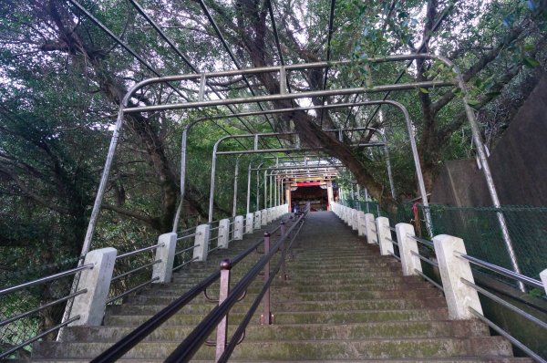 烘爐地登山步道(南勢角山)1968414