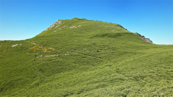 不一樣的角度欣賞奇萊南華之美登尾上山上深堀山經能高越嶺道兩日微探勘O型1886381
