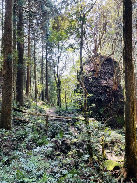2020/03/12 那結山＆貴妃山 O形縱走1650323