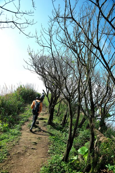 貂山古道與牡丹山O型2397858
