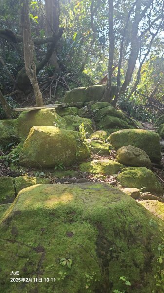 2025-0211造鎮_太極嶺_五城山小段攀爬路線2710725