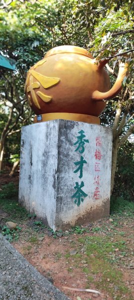 秀才登山步道2658113