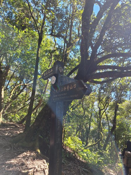 日湯真山202601042978571