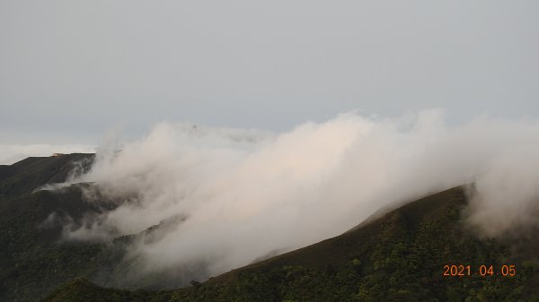 0405陽明山再見雲瀑，今年以來最滿意的一次1335458