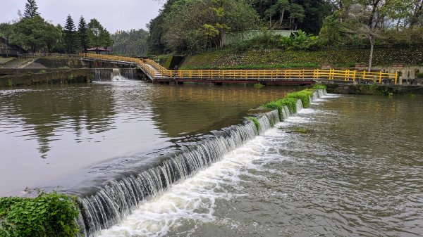 新竹關西亂亂走2422374