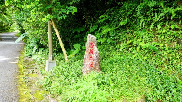 石碇大崙,人頭面山,獅公髻尾山2800411