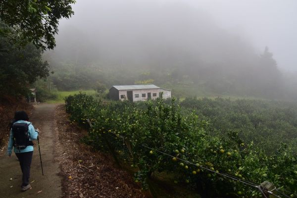 2017/12/8馬那邦山221561