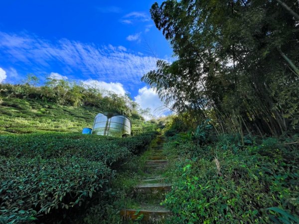 雲霧遊樂園：空氣圖書館走馬鞍山1560476