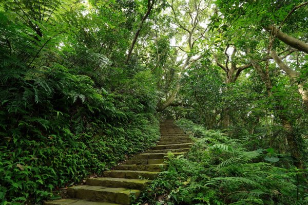 臺北 士林 玉稠湖山、石角山、白雲山、天母山2496034