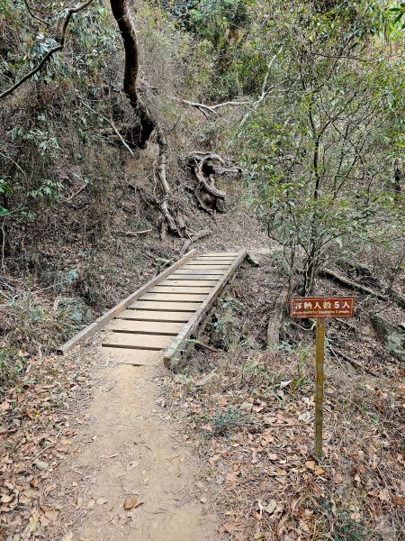 小百岳集起來-里龍山2184725