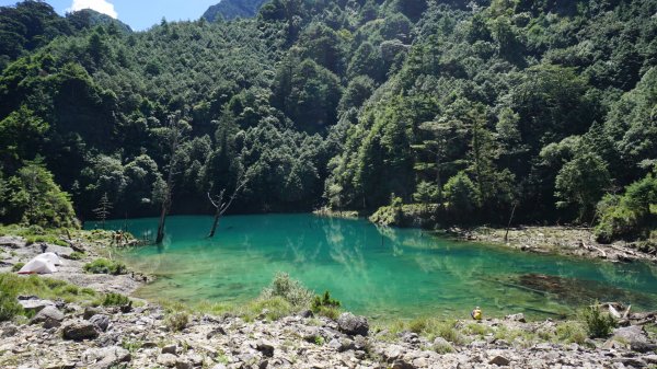 雨季限定版神池（小關山林道）2271635