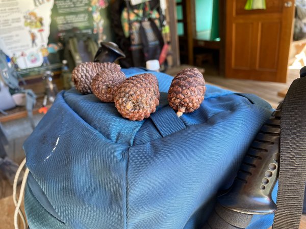 向陽日出，嘉明湖光2866327