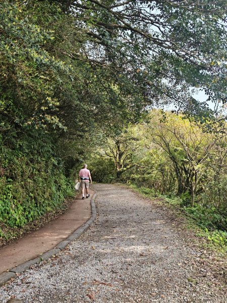 2026-0323 台北大縱走第一段3022612