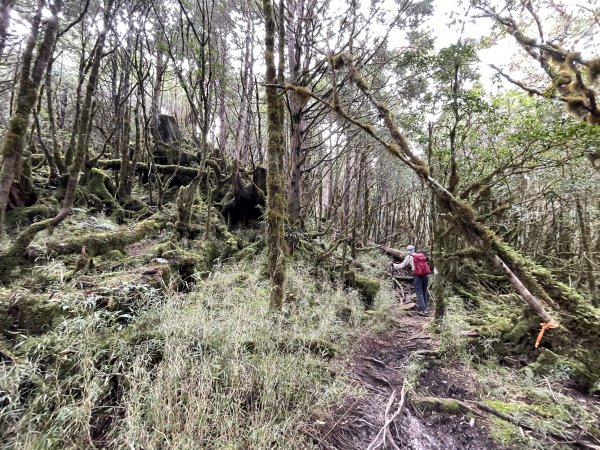 魔幻森林三星山與三星池1658336