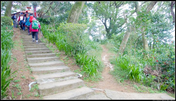 中和步道：圓通寺步道-南勢角山596651