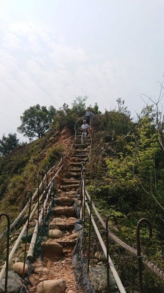 苗栗火炎山步道959127