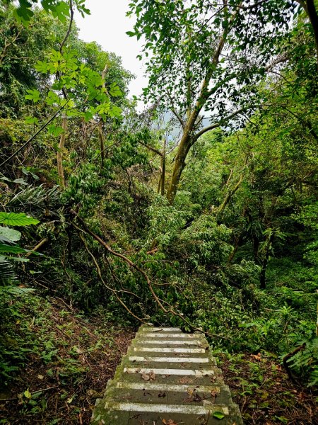 (二格山系)和美山螢火蟲-2025微笑山線大縱走尋寶集章任務2855246