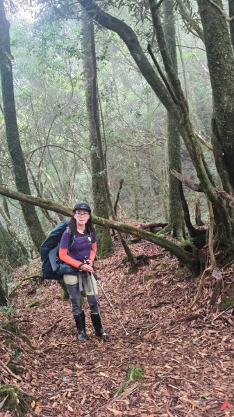 大混李棟重訓2883638