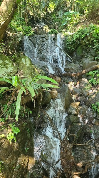 2025-0130溪和宮-大崎頭步道-鵝尾山-平溪步道-鵝尾山水田-42巷-溪山百年古圳-平菁步道2701964