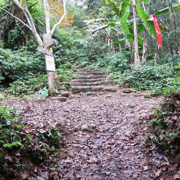 馬那邦山(珠湖線來回)375028