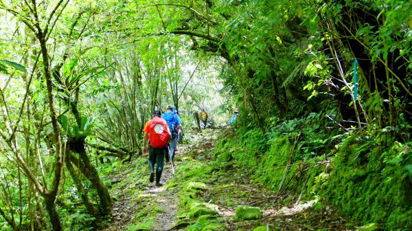 畝畝山。又上說2768141