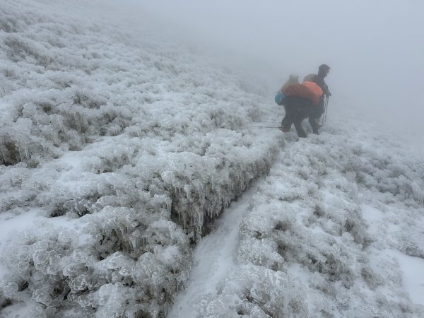 南二段撤退行2743043