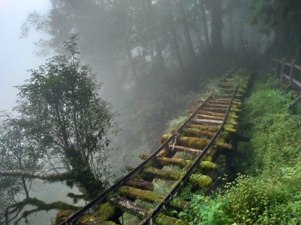 宜蘭太平山見晴懷古步道708318