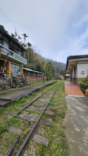 【四大天王山O型縱走未竟之旅：封山中的靜謐與省思】解鎖嘉義竹崎四大天王山、知鳥山。2929921