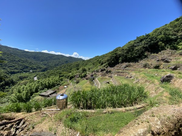 《探訪內雙溪三圳流向｜大崎頭步道 × 鵝尾山》2877190