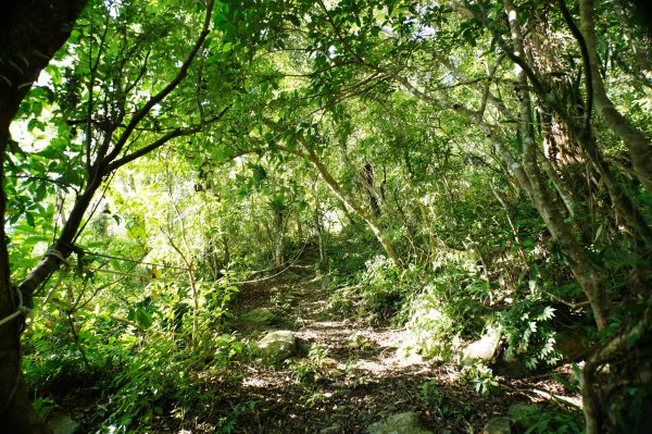 宜蘭 南澳 御恩山2892663