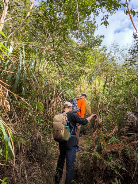2026-01-18 埔里關刀山2989573